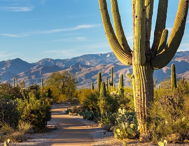 Scenic desert landscape in Arizona