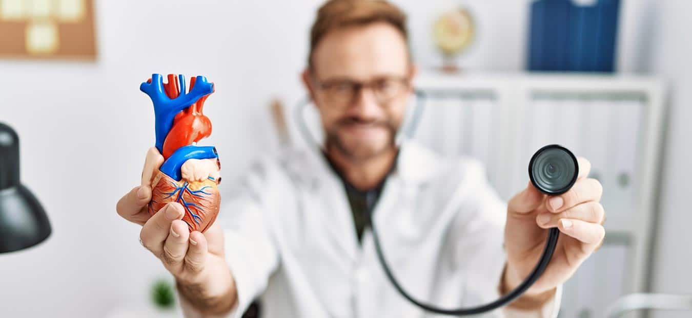 Doctor holding anatomical heart model toward camera at US Heart and vascular