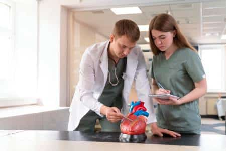 Doctor explains heart model to patient and partner at US Heart and vascular